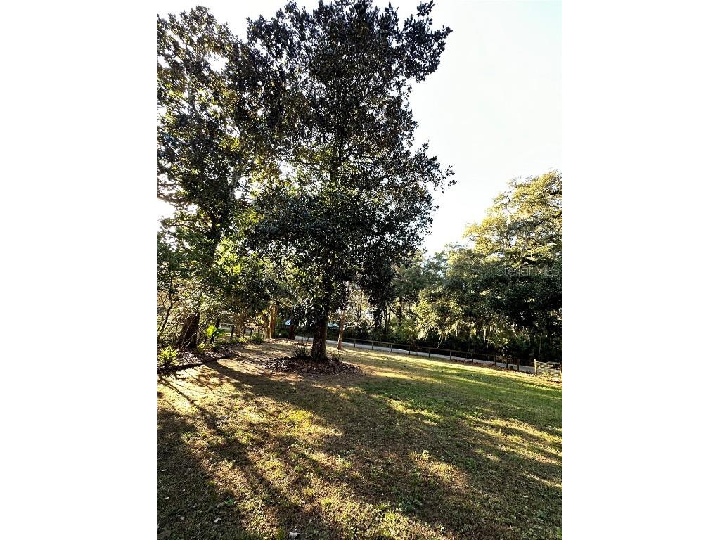 13565 NE 38th Avenue Anthony FL 32617 OM714987 image39