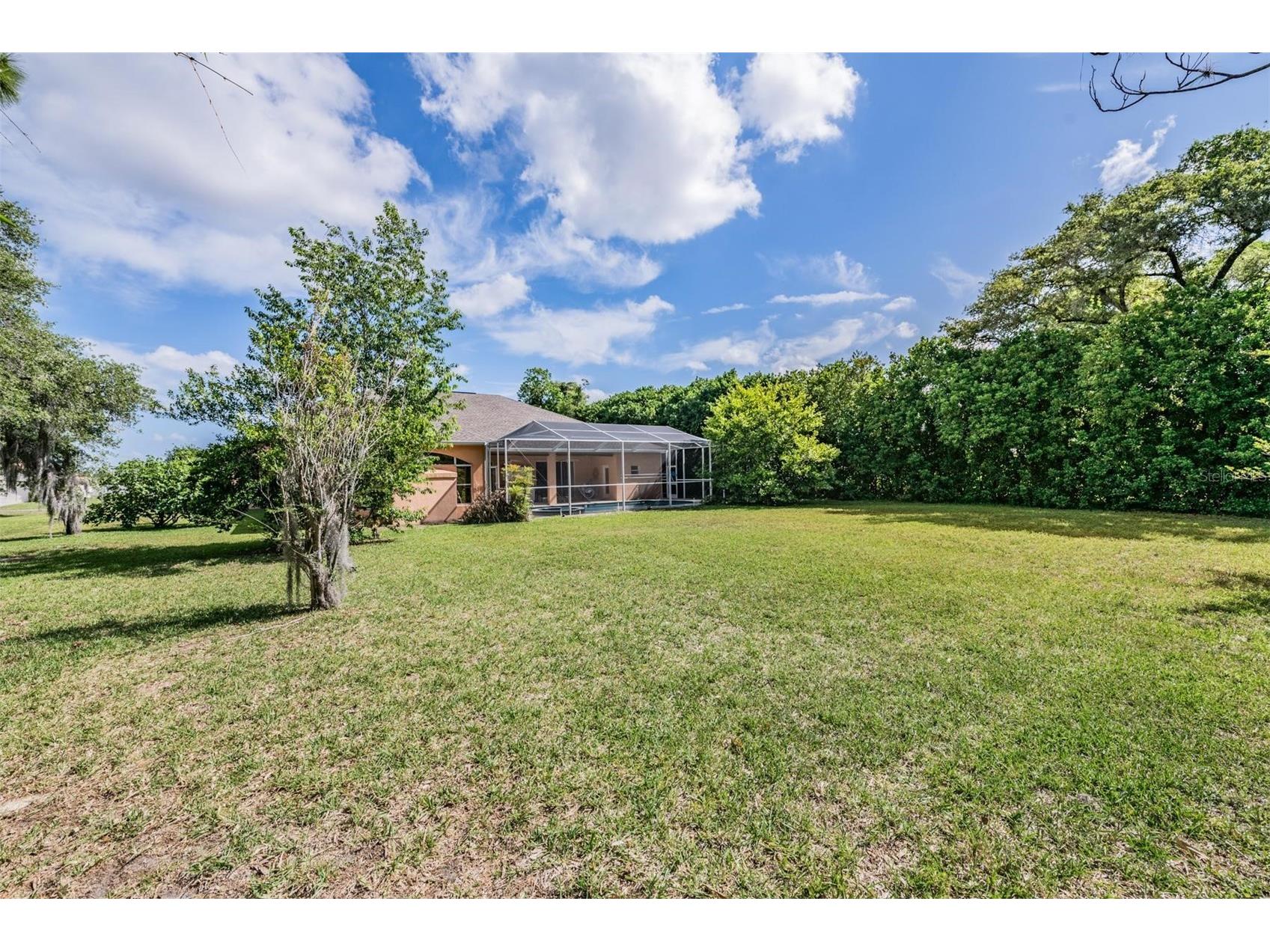 13566 Rudi Loop Spring Hill FL 34609 TB8497248 image47
