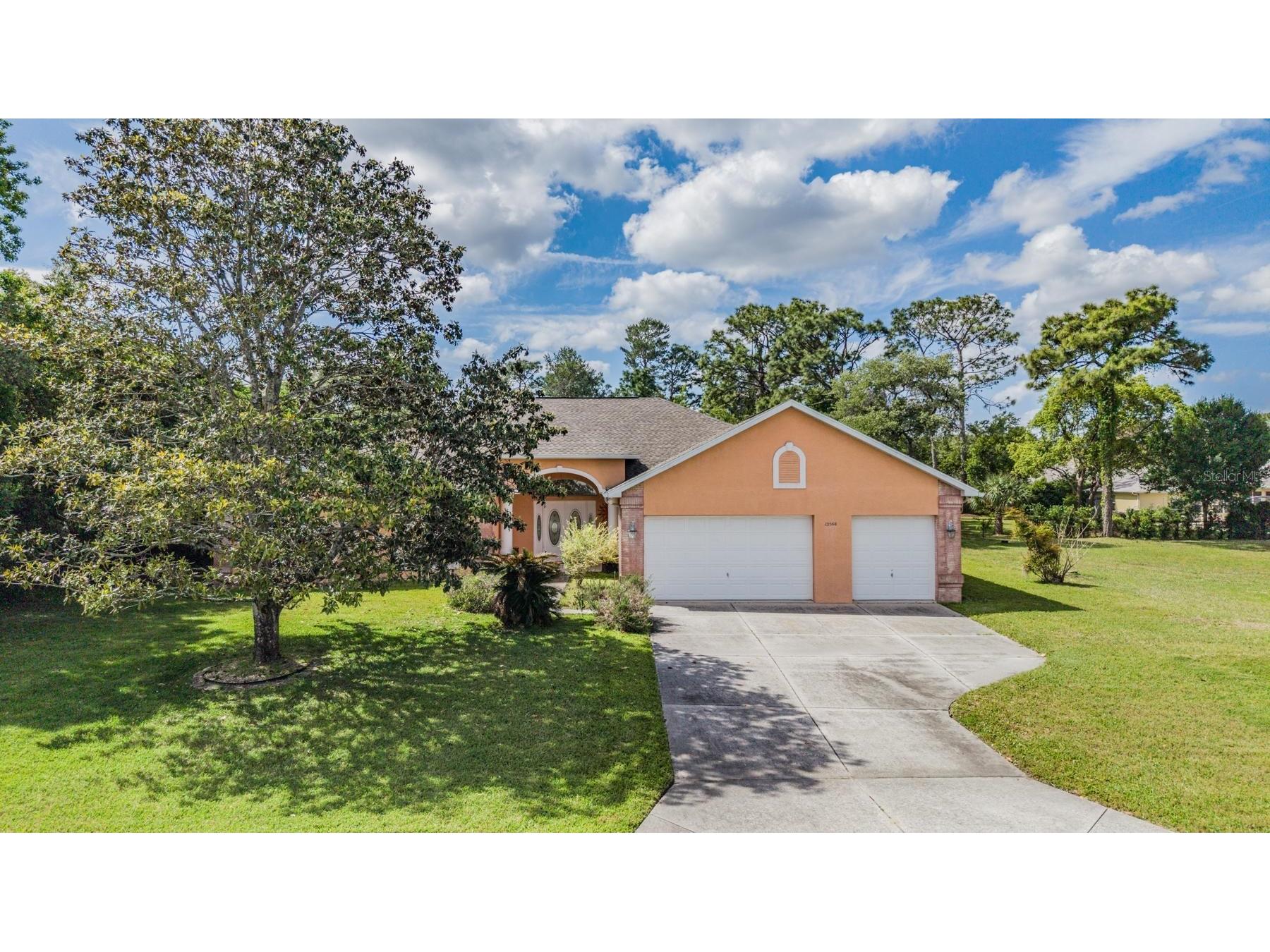 13566 Rudi Loop Spring Hill FL 34609 TB8497248 image50