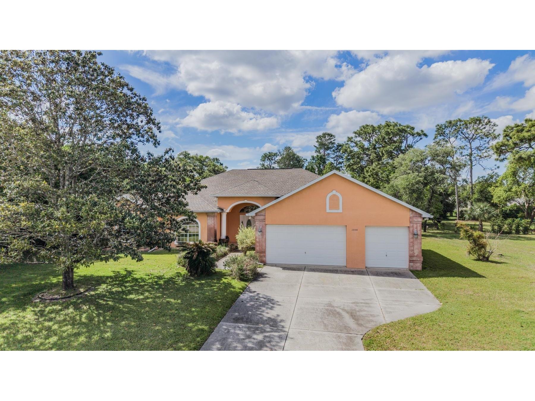 13566 Rudi Loop Spring Hill FL 34609 TB8497248 image51