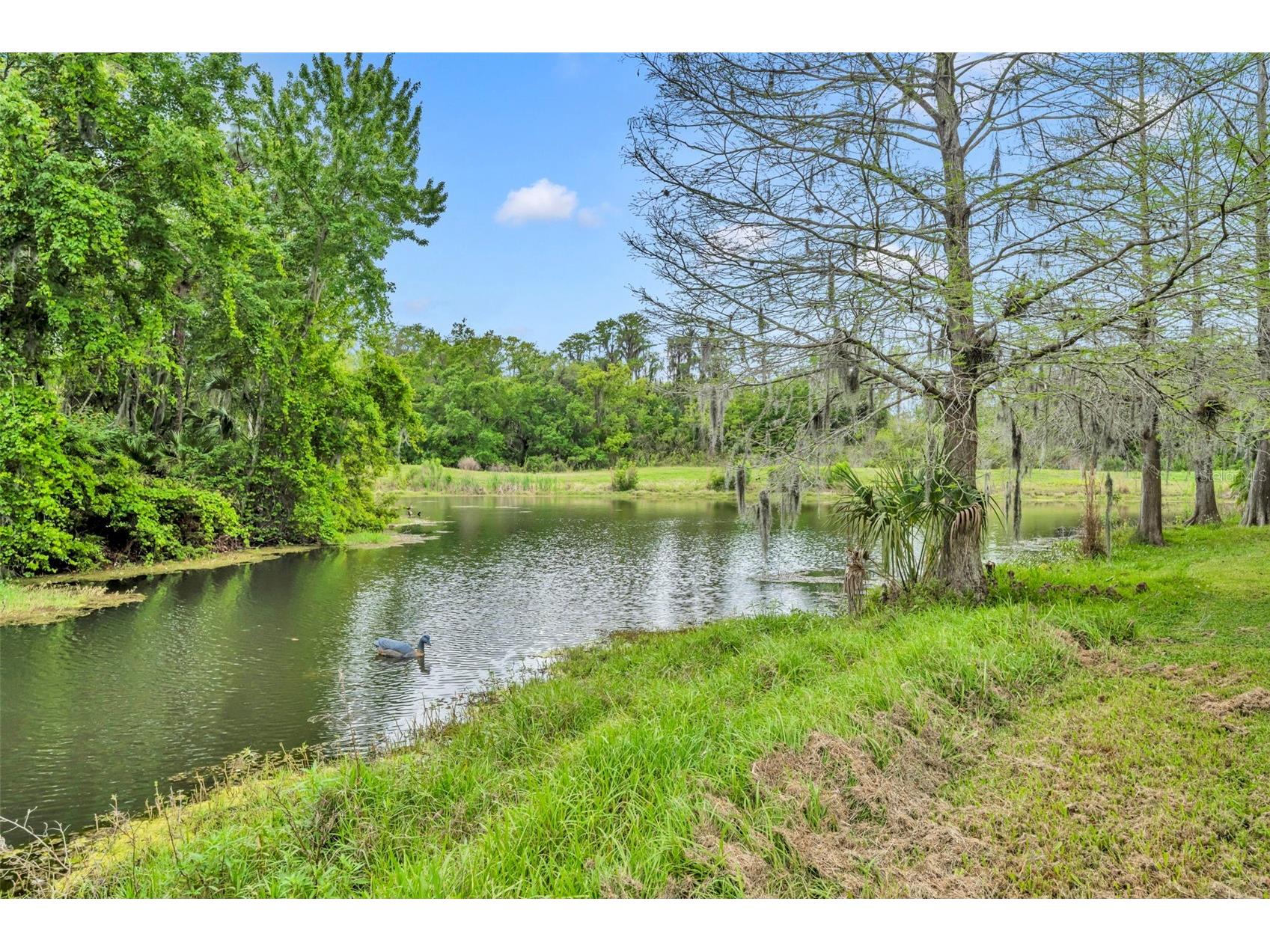 13568 Dornoch Drive Orlando FL 32828 O6395496 image53