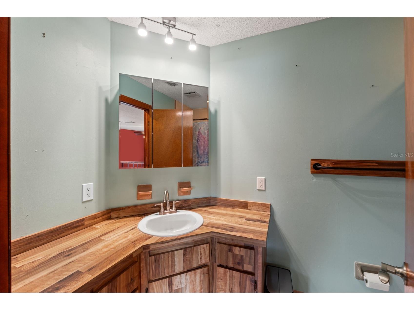 1357 Dinsmore Court New Port Richey FL 34655 W7883550 image25