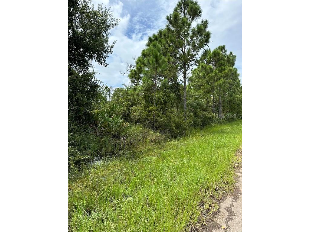 13571 Lynbrook Avenue Port Charlotte FL 33953 C7497512 image1