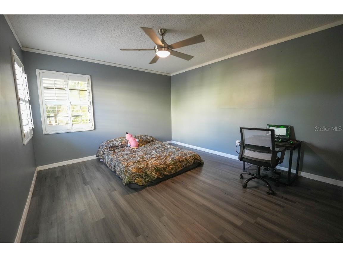 13572 Avista Drive Tampa FL 33624 TB8444361 image22