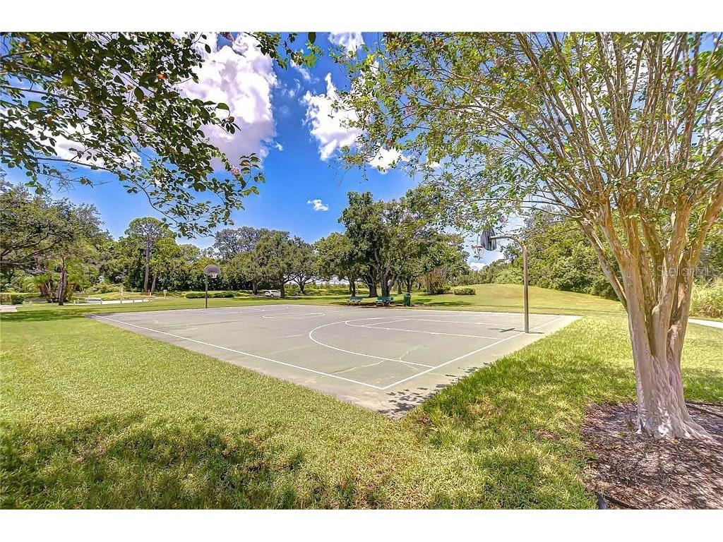 13572 Avista Drive Tampa FL 33624 TB8444361 image25