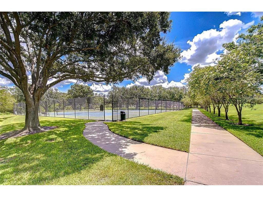 13572 Avista Drive Tampa FL 33624 TB8444361 image26