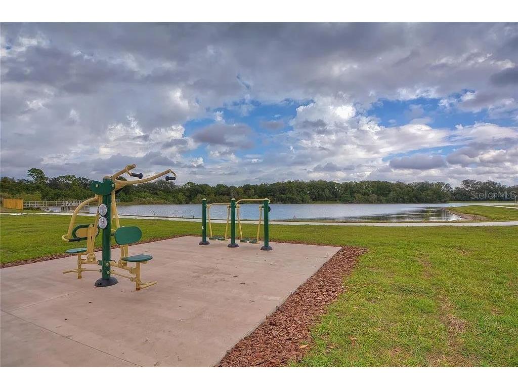 13572 Avista Drive Tampa FL 33624 TB8444361 image27