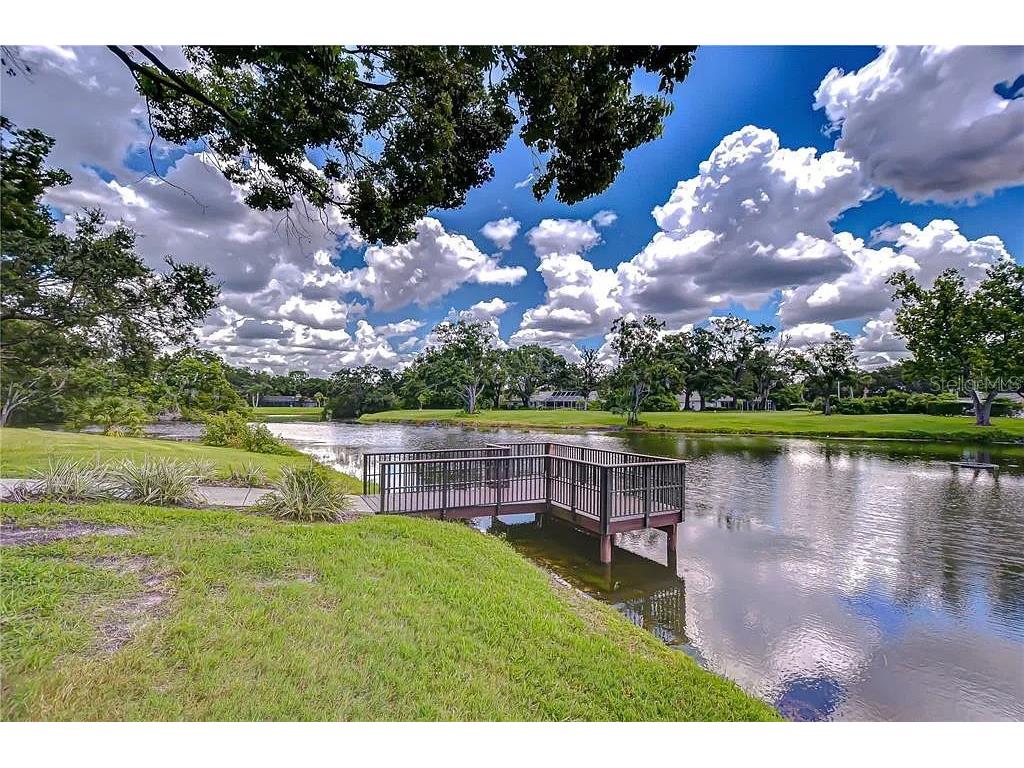 13572 Avista Drive Tampa FL 33624 TB8444361 image28