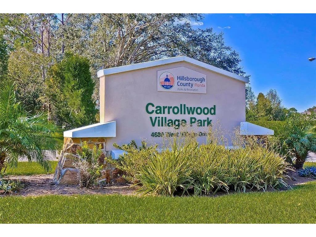 13572 Avista Drive Tampa FL 33624 TB8444361 image29