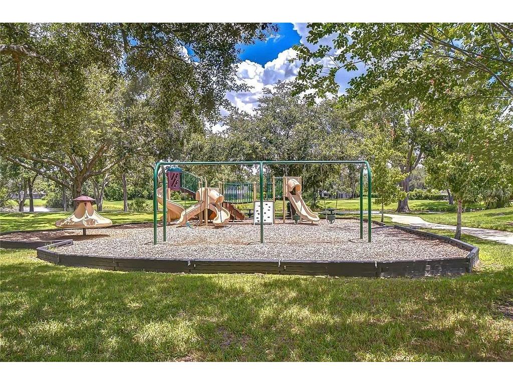 13572 Avista Drive Tampa FL 33624 TB8444361 image30