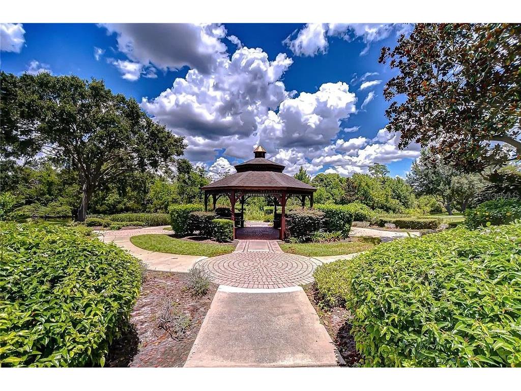 13572 Avista Drive Tampa FL 33624 TB8444361 image33