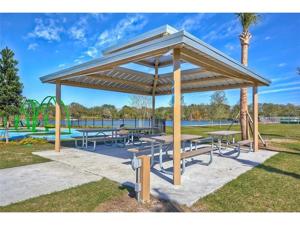 13572 Avista Drive Tampa FL 33624 TB8444361 image34