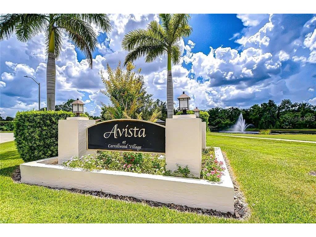 13572 Avista Drive Tampa FL 33624 TB8444361 image35