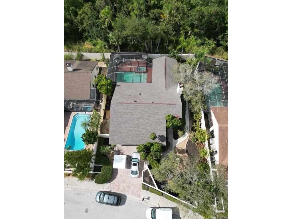 13572 Avista Drive Tampa FL 33624 TB8444361 image37