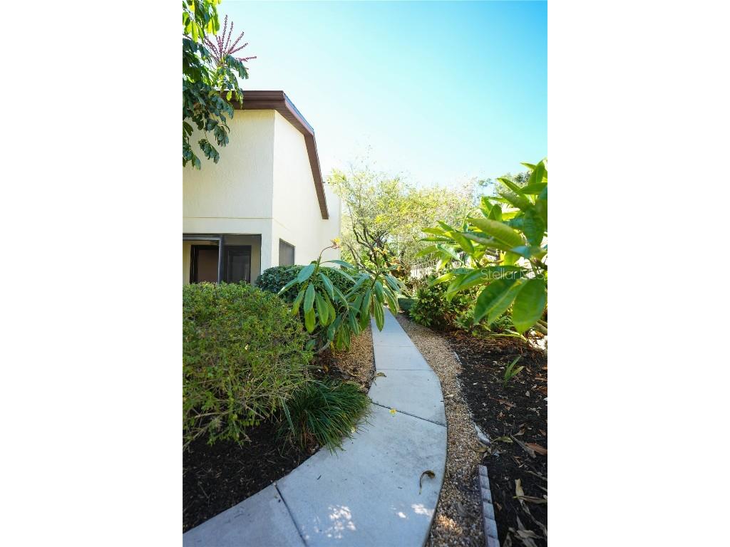 13572 Avista Drive Tampa FL 33624 TB8444361 image5