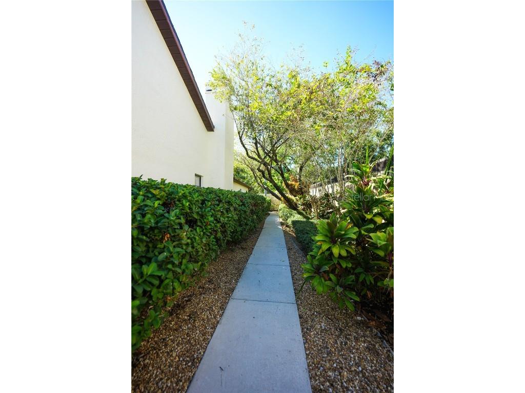 13572 Avista Drive Tampa FL 33624 TB8444361 image6