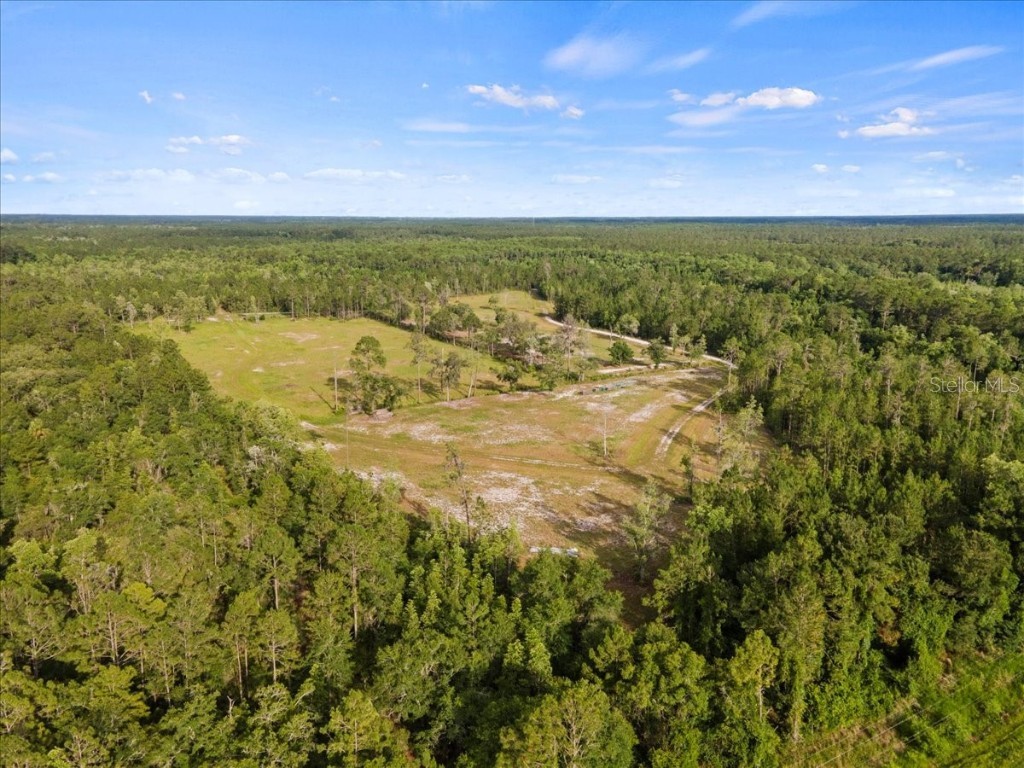 13575 SE Us Hwy 301 Hawthorne FL 32640 GC531493 image8