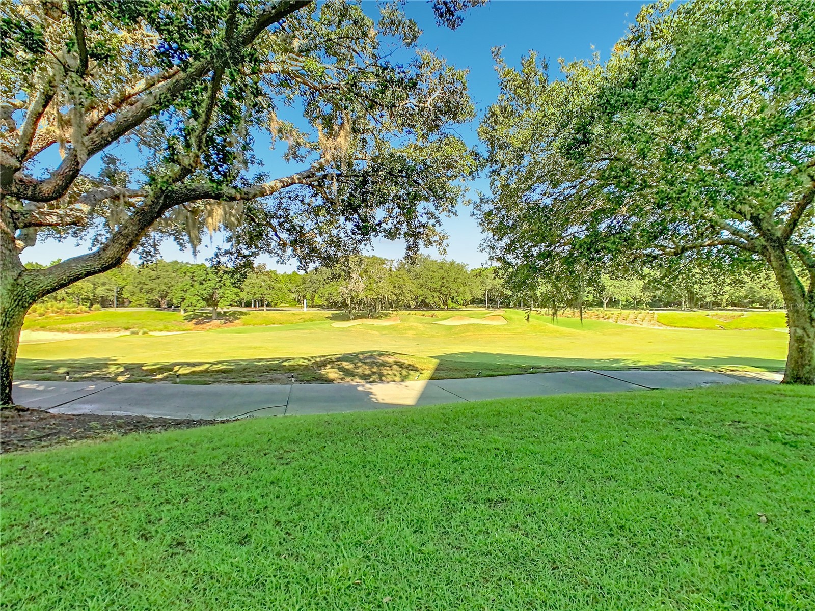 1358 Centre Court Ridge Drive #101 Reunion FL 34747 O6421990 image3