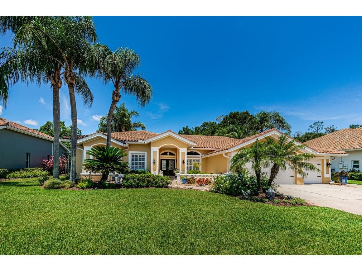 1358 Forestedge Boulevard Oldsmar FL 34677 U8204634 image1