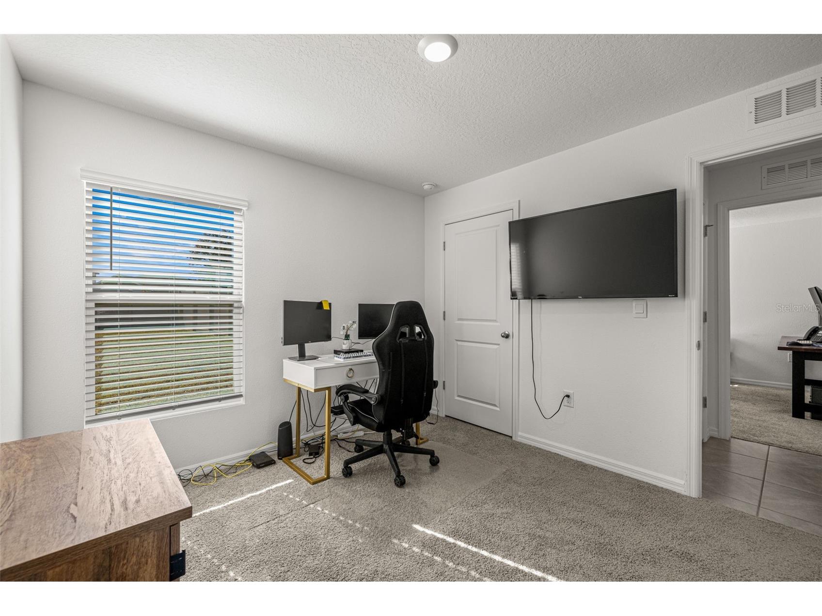 13581 Mount Ivy Court Dade City FL 33525 TB8466979 image33