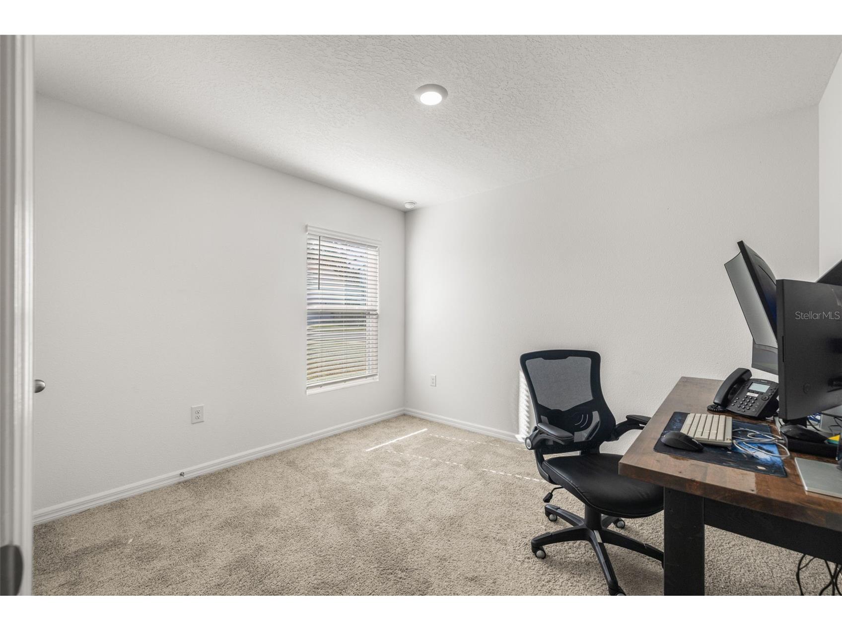 13581 Mount Ivy Court Dade City FL 33525 TB8466979 image36