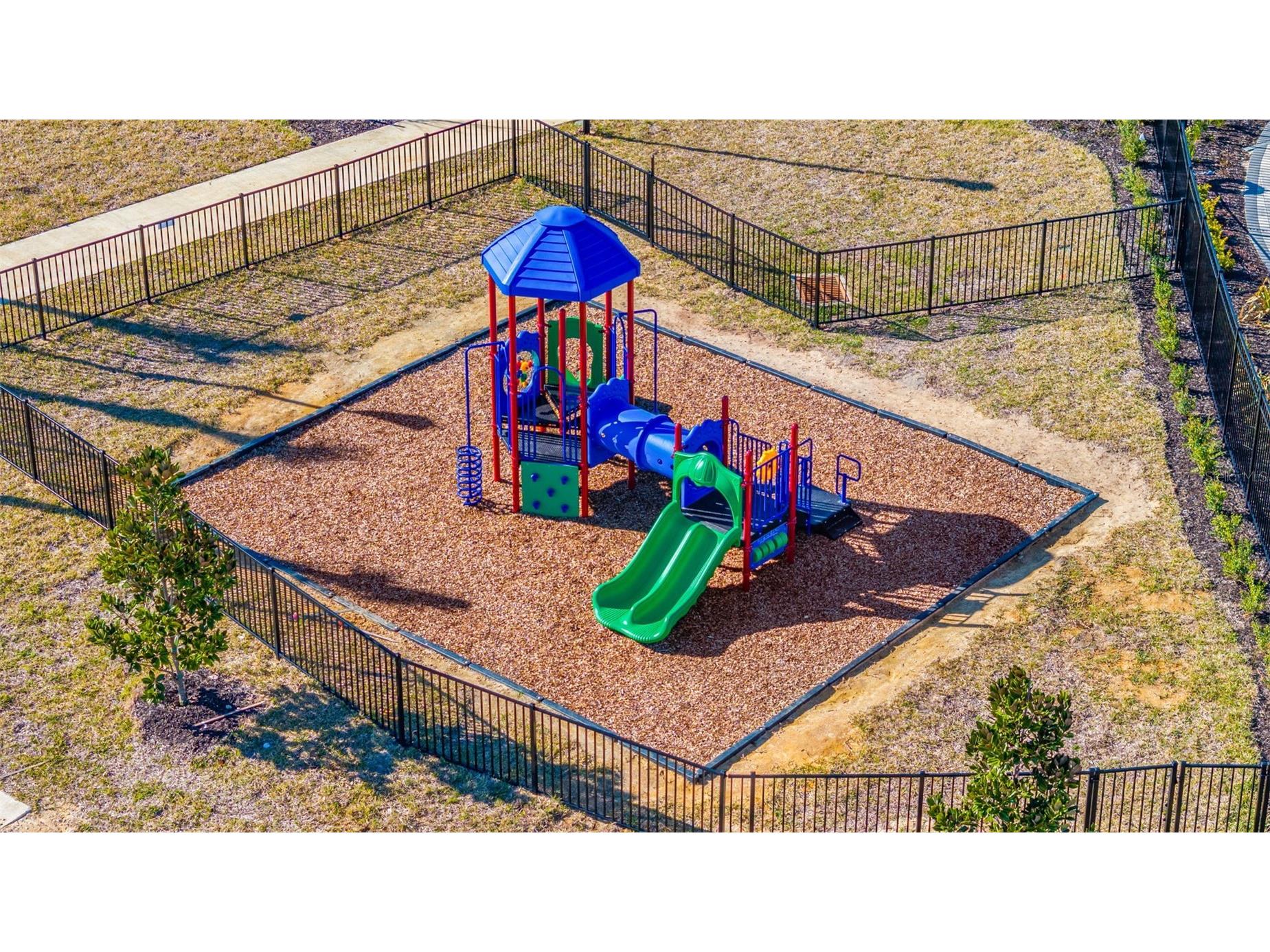 13581 Mount Ivy Court Dade City FL 33525 TB8466979 image50