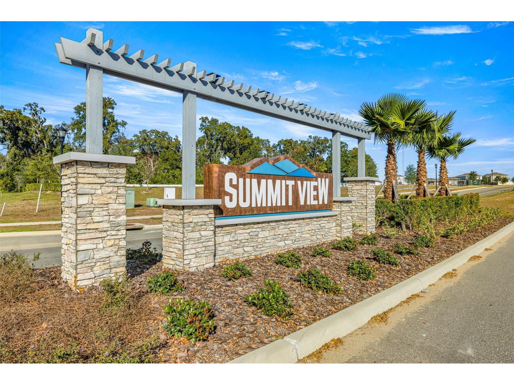 13581 Mount Ivy Court Dade City FL 33525 TB8466979 image53