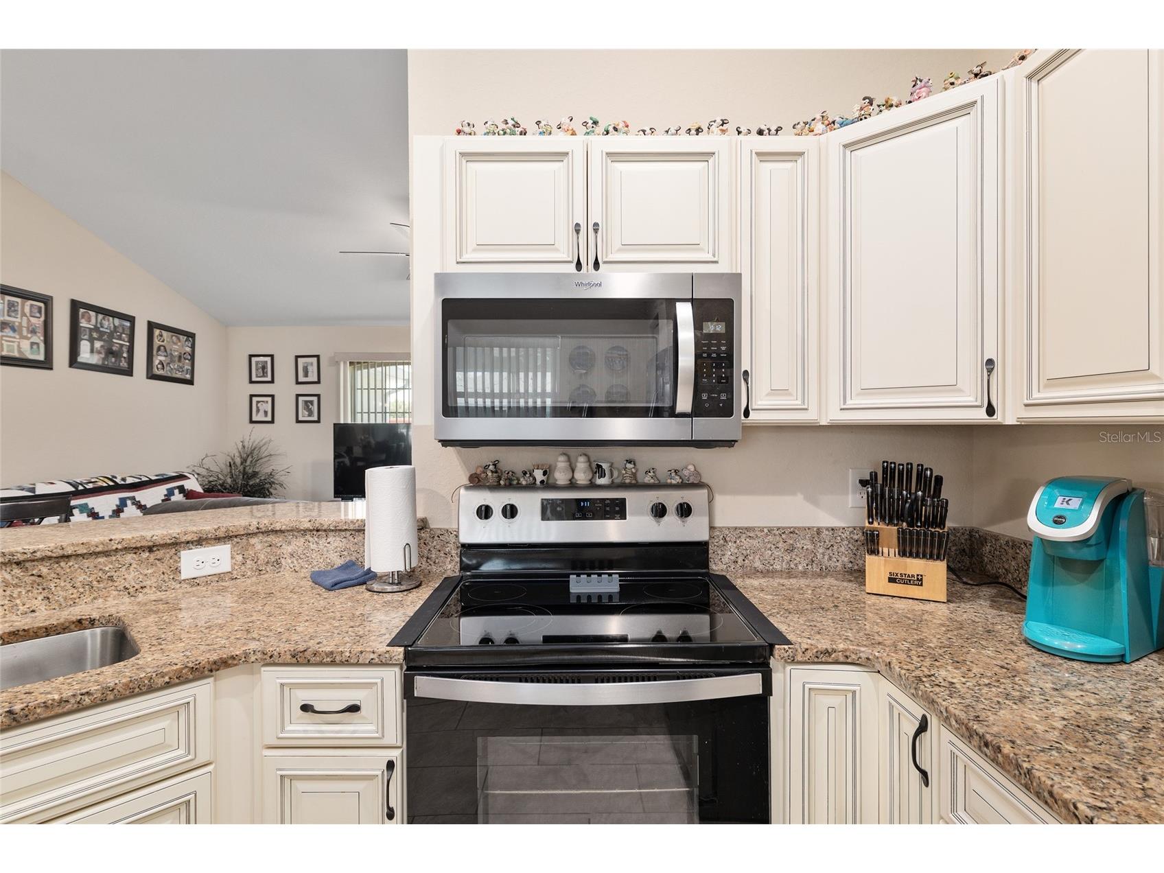 13581 SW 48th Court Ocala FL 34473 TB8471596 image24