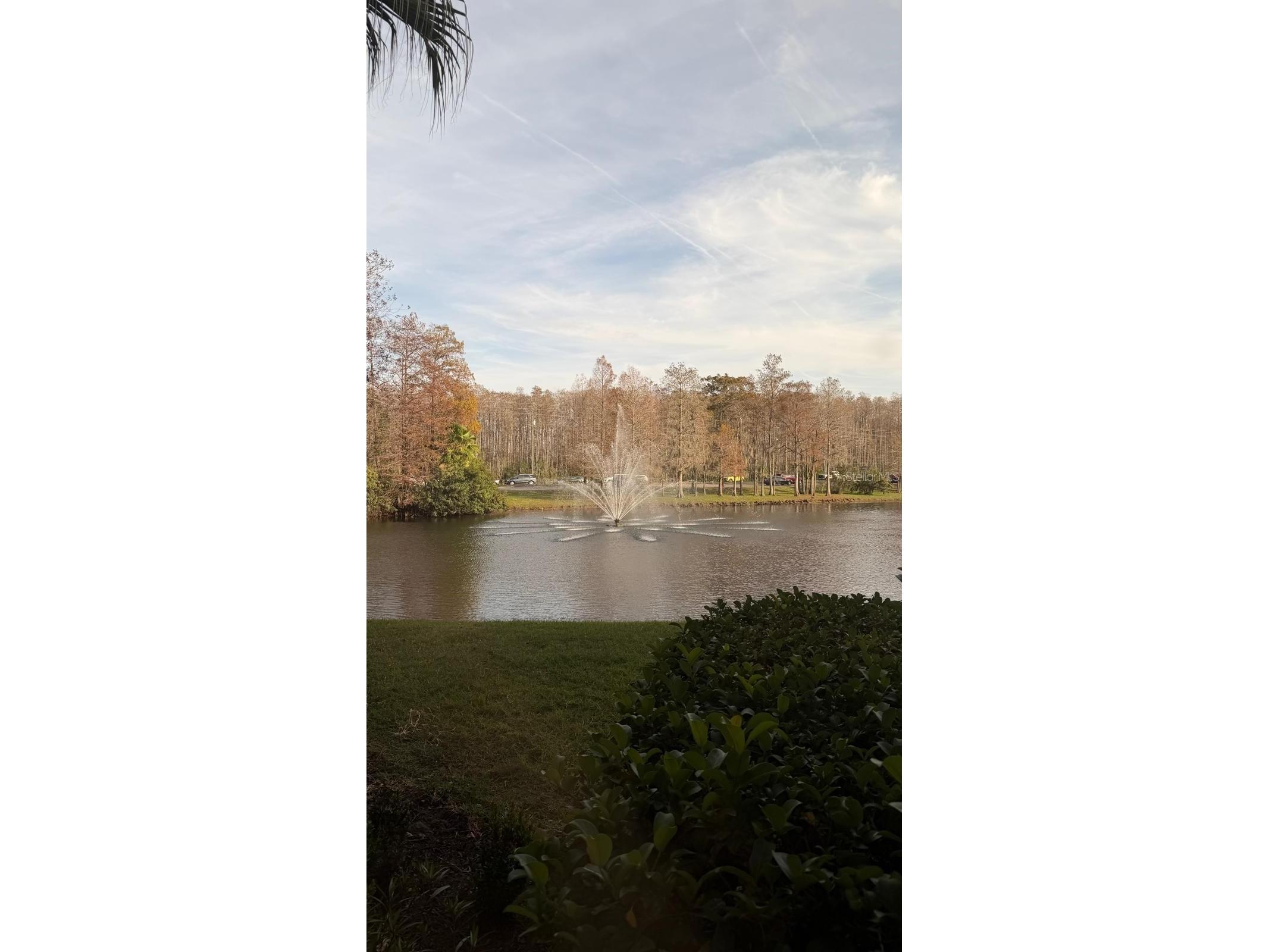 13584 Turtle Marsh Loop #113 Orlando FL 32837 O6377968 image3