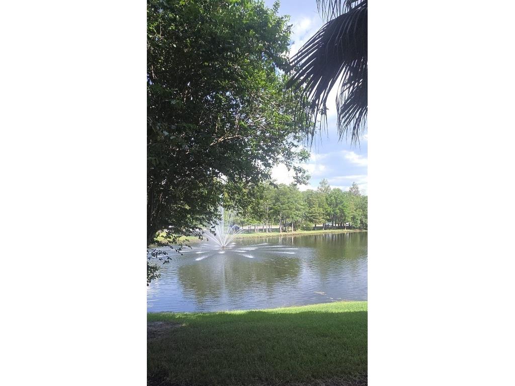 13584 Turtle Marsh Loop #121 Orlando FL 32837 O6319118 image35