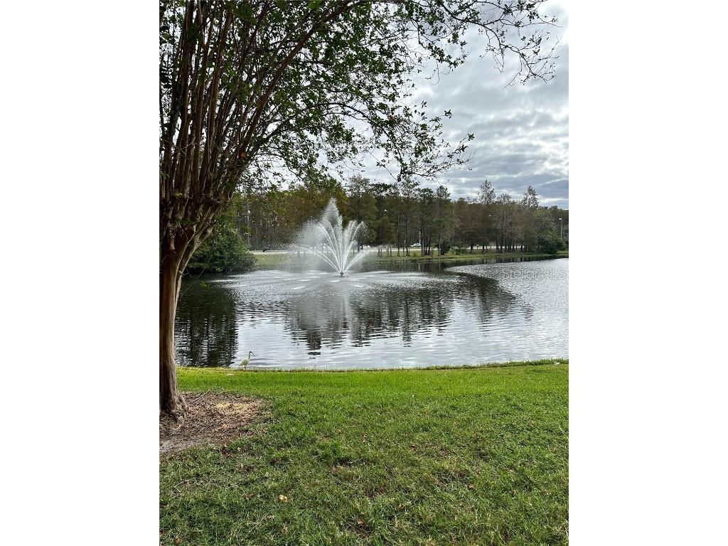 13584 Turtle Marsh Loop #132 Orlando FL 32837 G5102910 image11