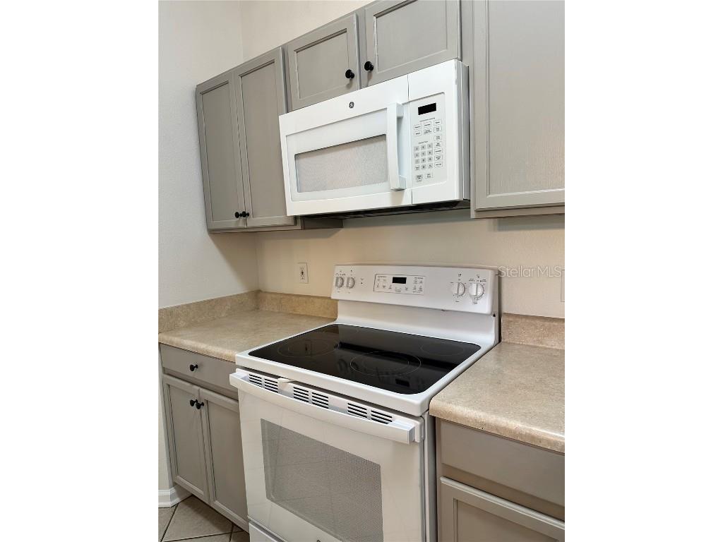 13584 Turtle Marsh Loop #132 Orlando FL 32837 G5102910 image5