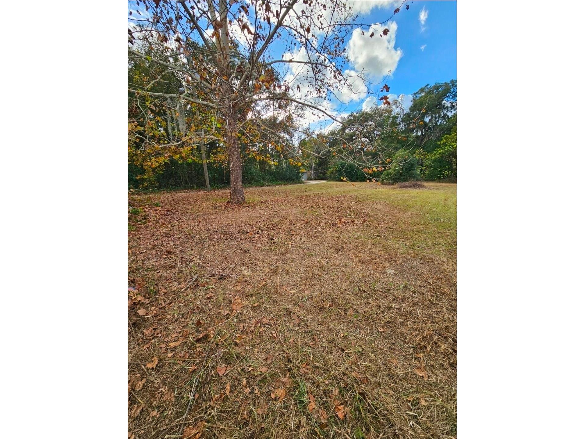 13585 SE 119th Street Ocklawaha FL 32179 O6412346 image34