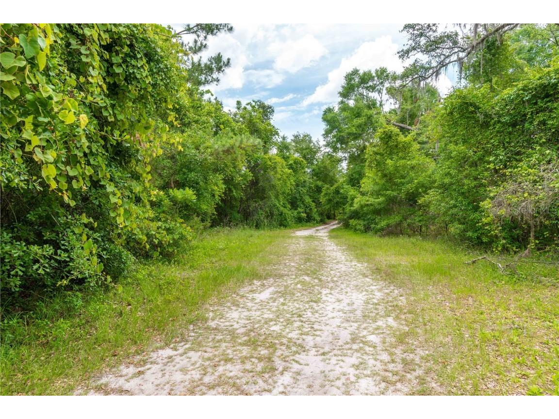 13586 N Us Highway 27 Ocala FL 34482 OM702685 image13