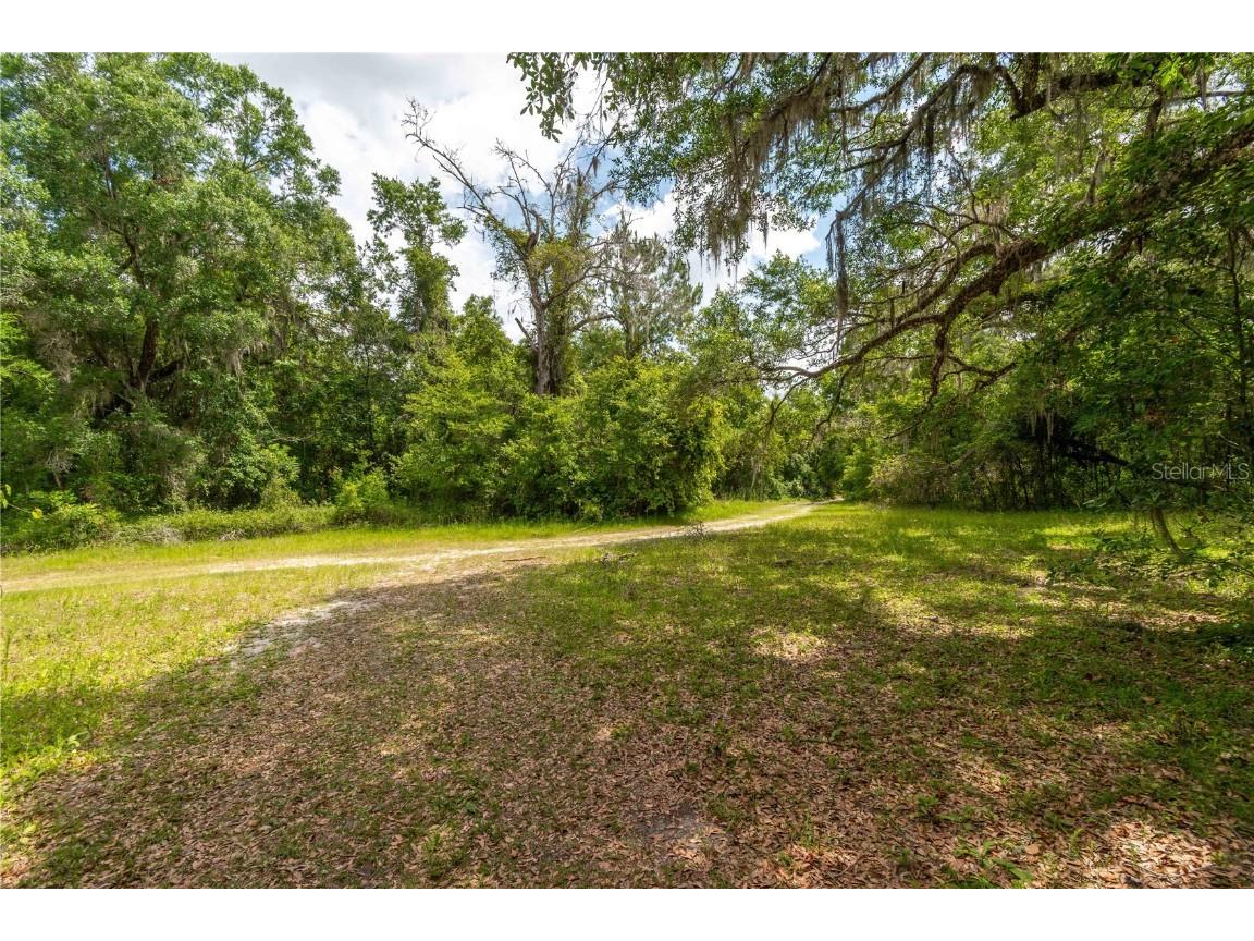 13586 N Us Highway 27 Ocala FL 34482 OM702685 image8
