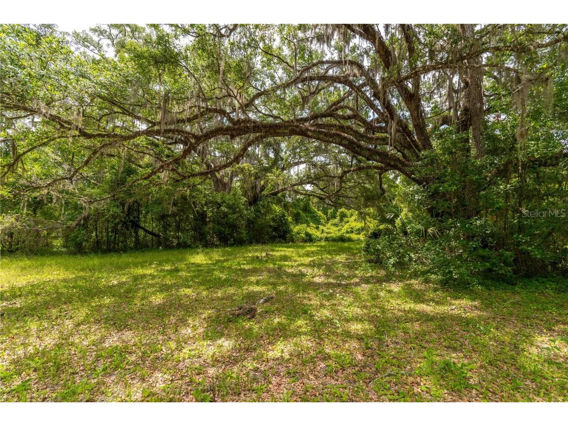13586 N Us Highway 27 Ocala FL 34482 OM702685 image9