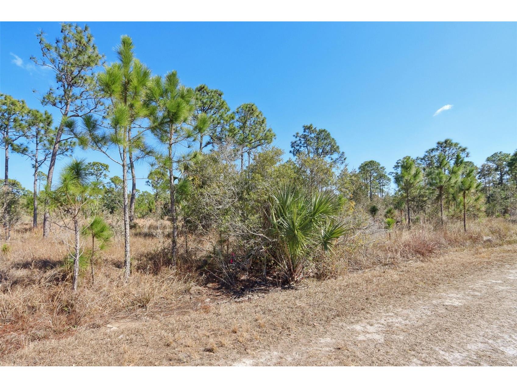 13588 Carousel Drive Punta Gorda FL 33955 TB8474925 image6