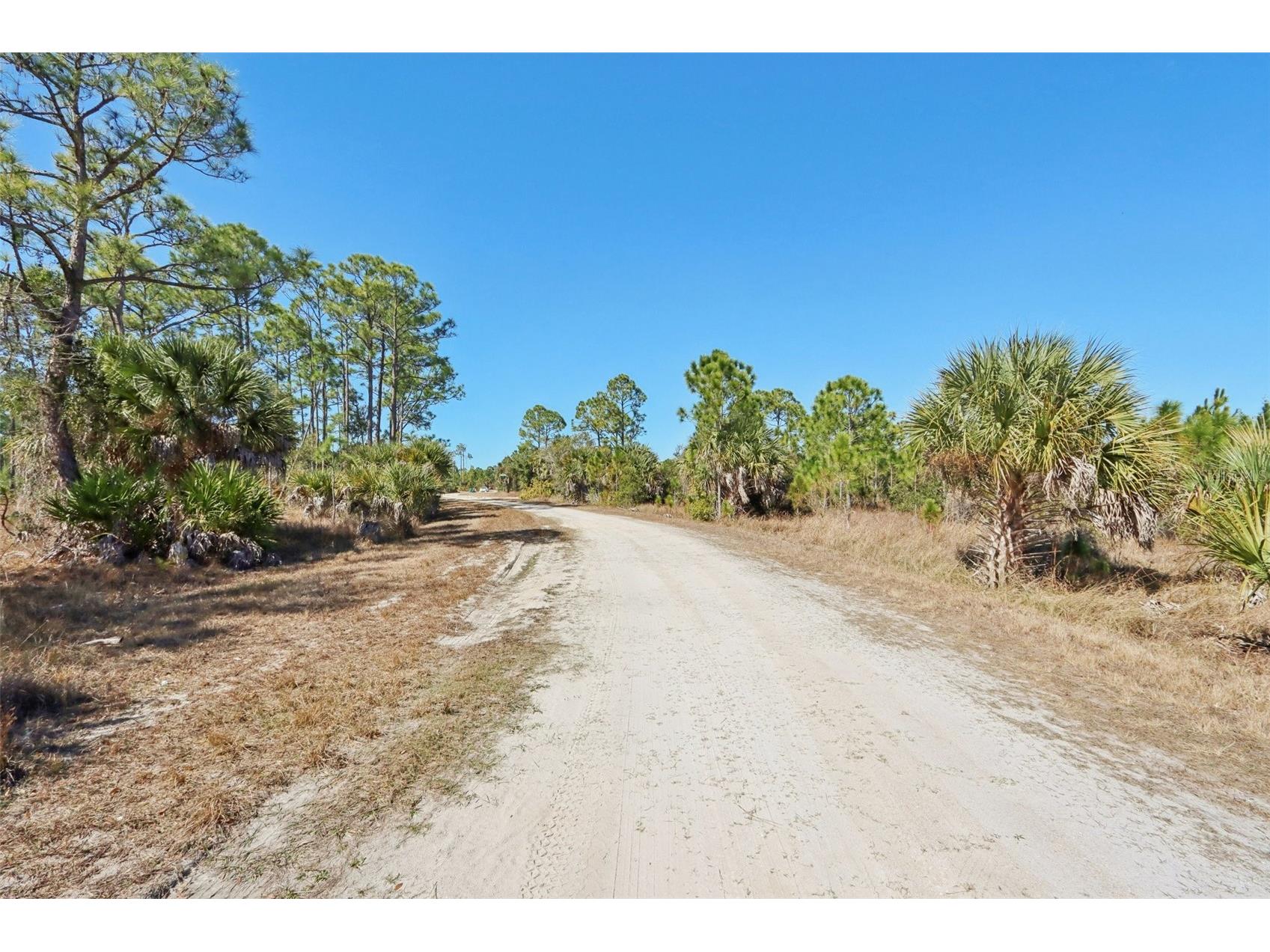 13588 Carousel Drive Punta Gorda FL 33955 TB8474925 image8