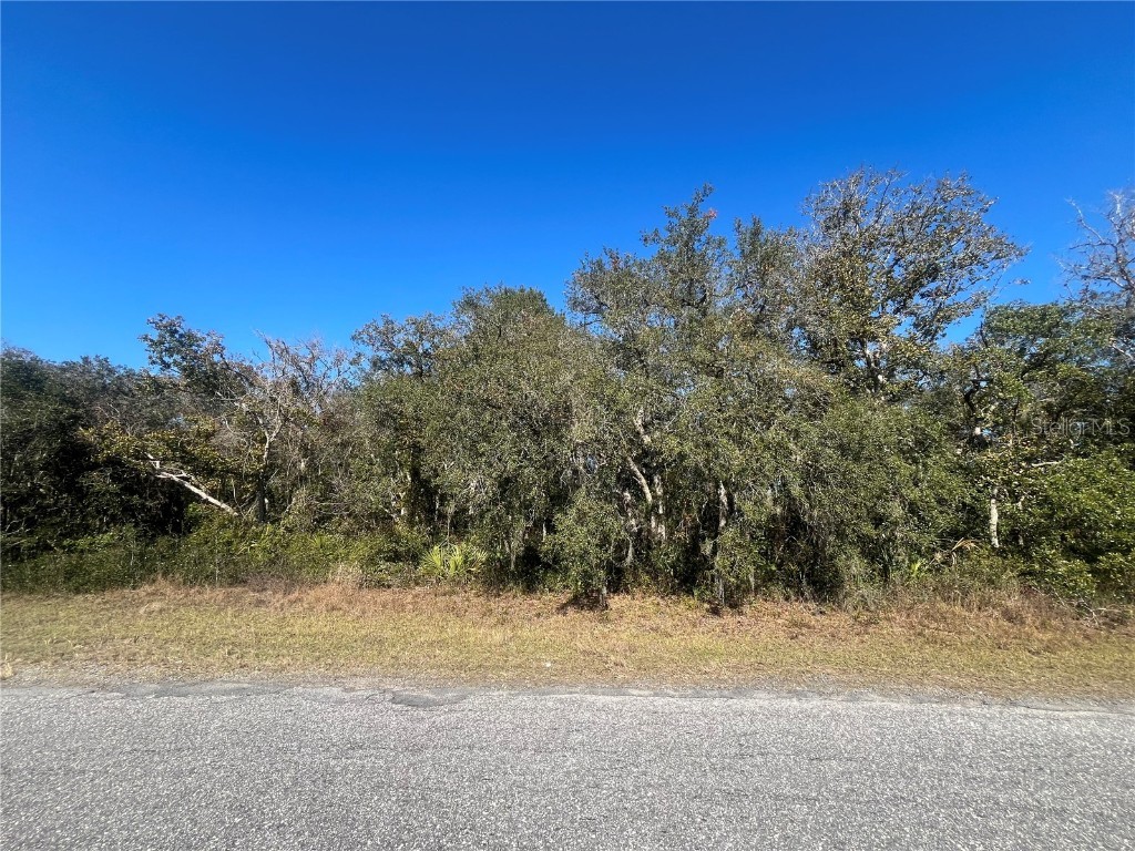 13589 SW 27th Circle Ocala FL 34473 OK224799 image1