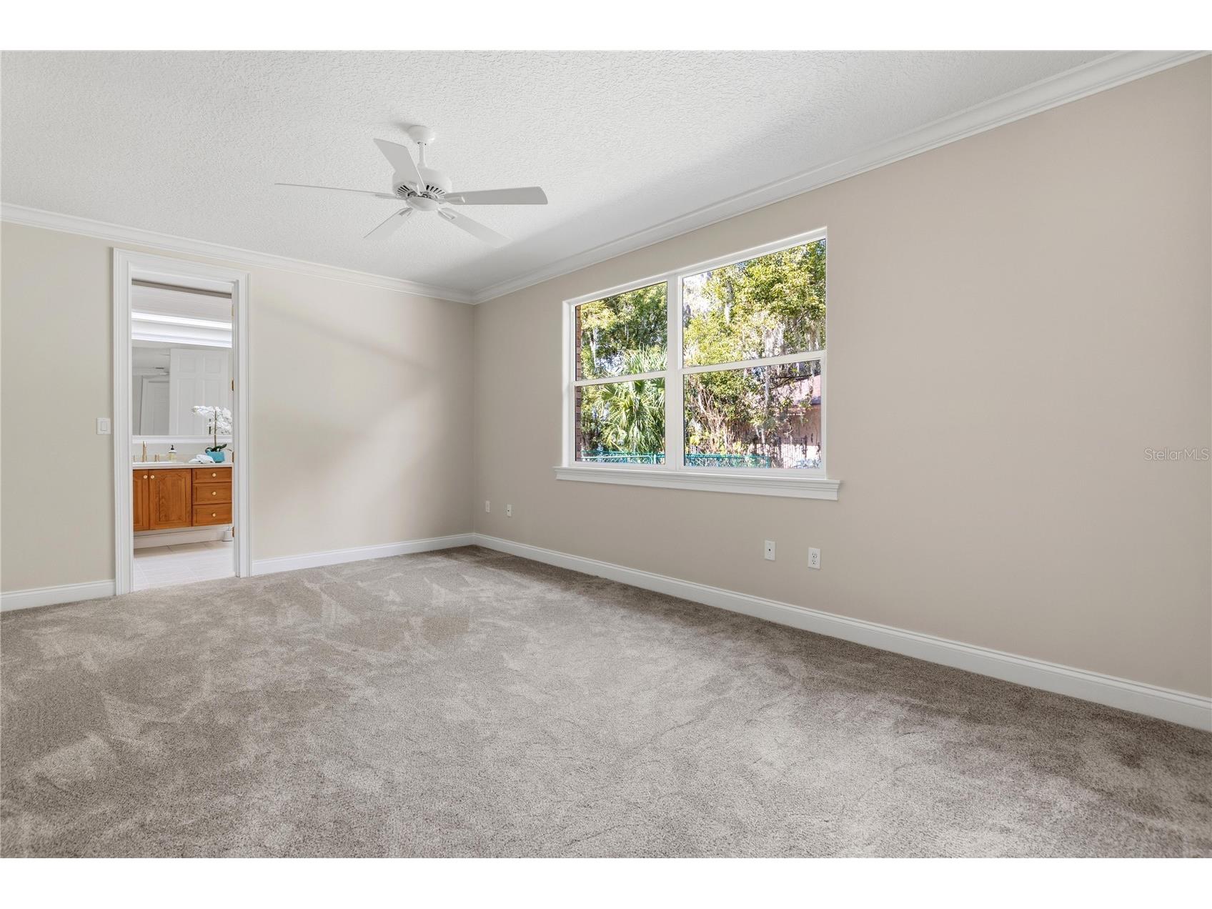 1359 Elysium Boulevard Mount Dora FL 32757 O6385152 image30