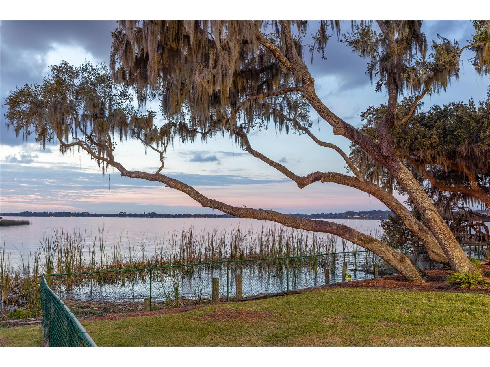 1359 Elysium Boulevard Mount Dora FL 32757 O6385152 image41