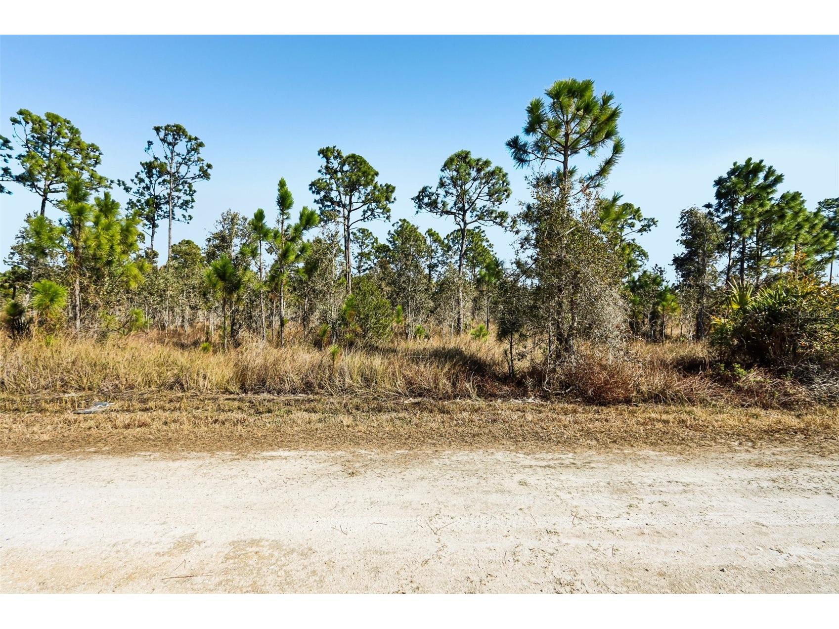 13592 Carousel Drive Punta Gorda FL 33955 TB8474954 image1