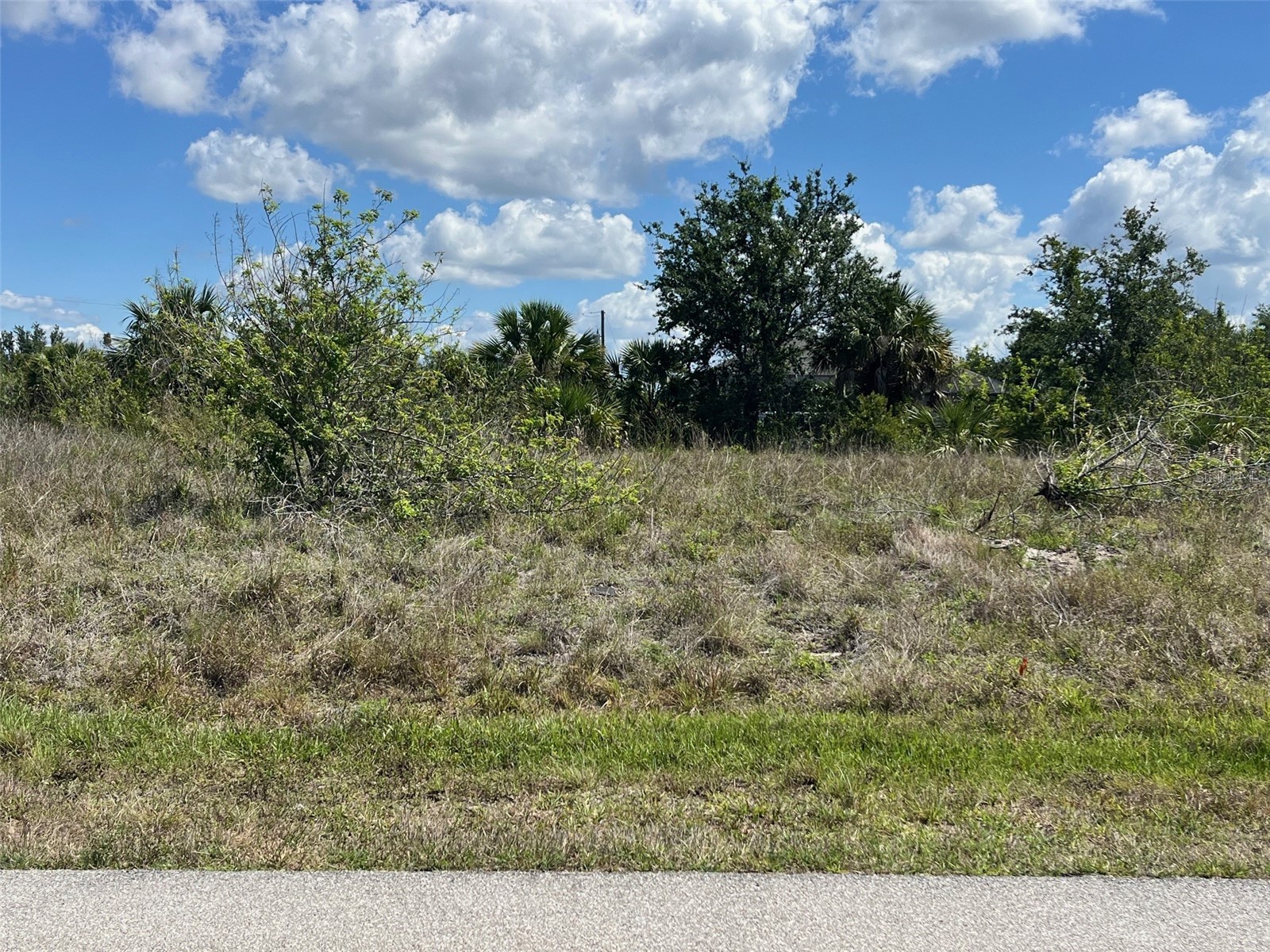 13598 Allamanda Circle Port Charlotte FL 33981 - ALLAMANDA WATERWAY D6146851 image1