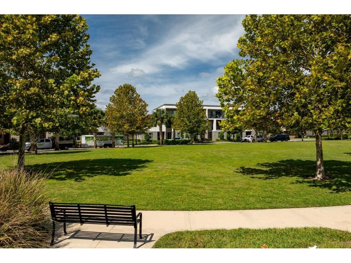 13599 Larkton Lane Orlando FL 32832 O6342990 image29