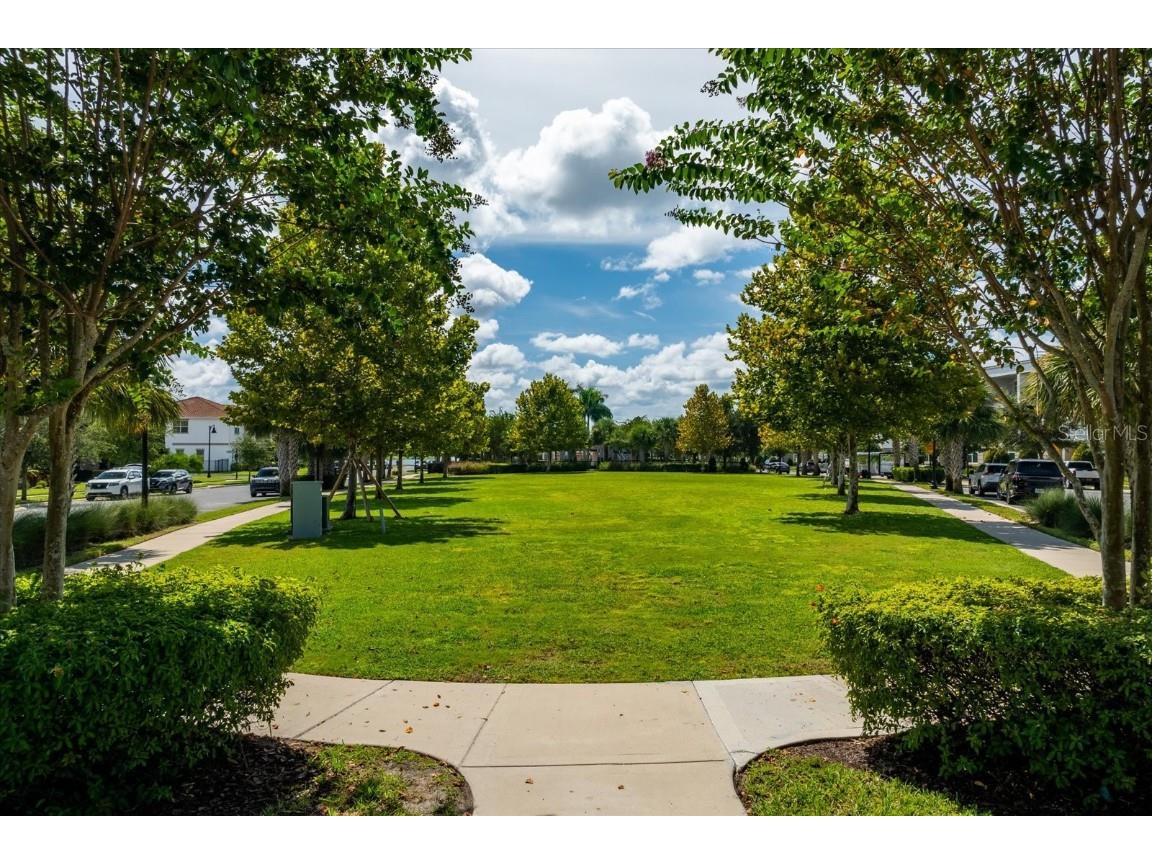 13599 Larkton Lane Orlando FL 32832 O6342990 image30