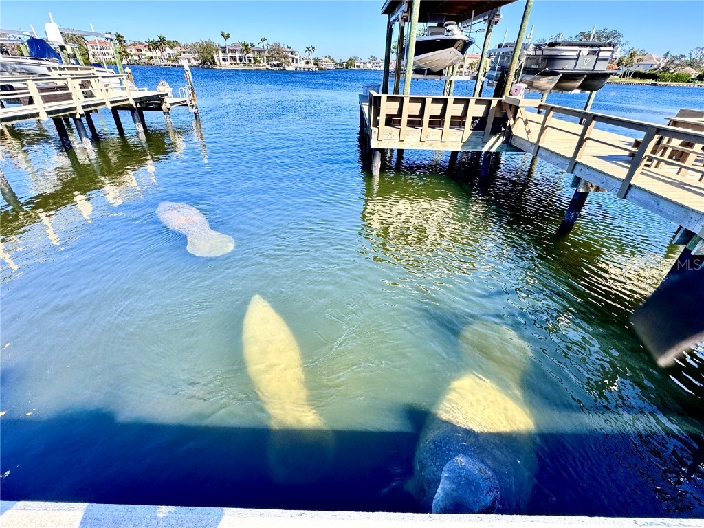 136 26th Avenue NE Saint Petersburg FL 33704 TB8343931 image32