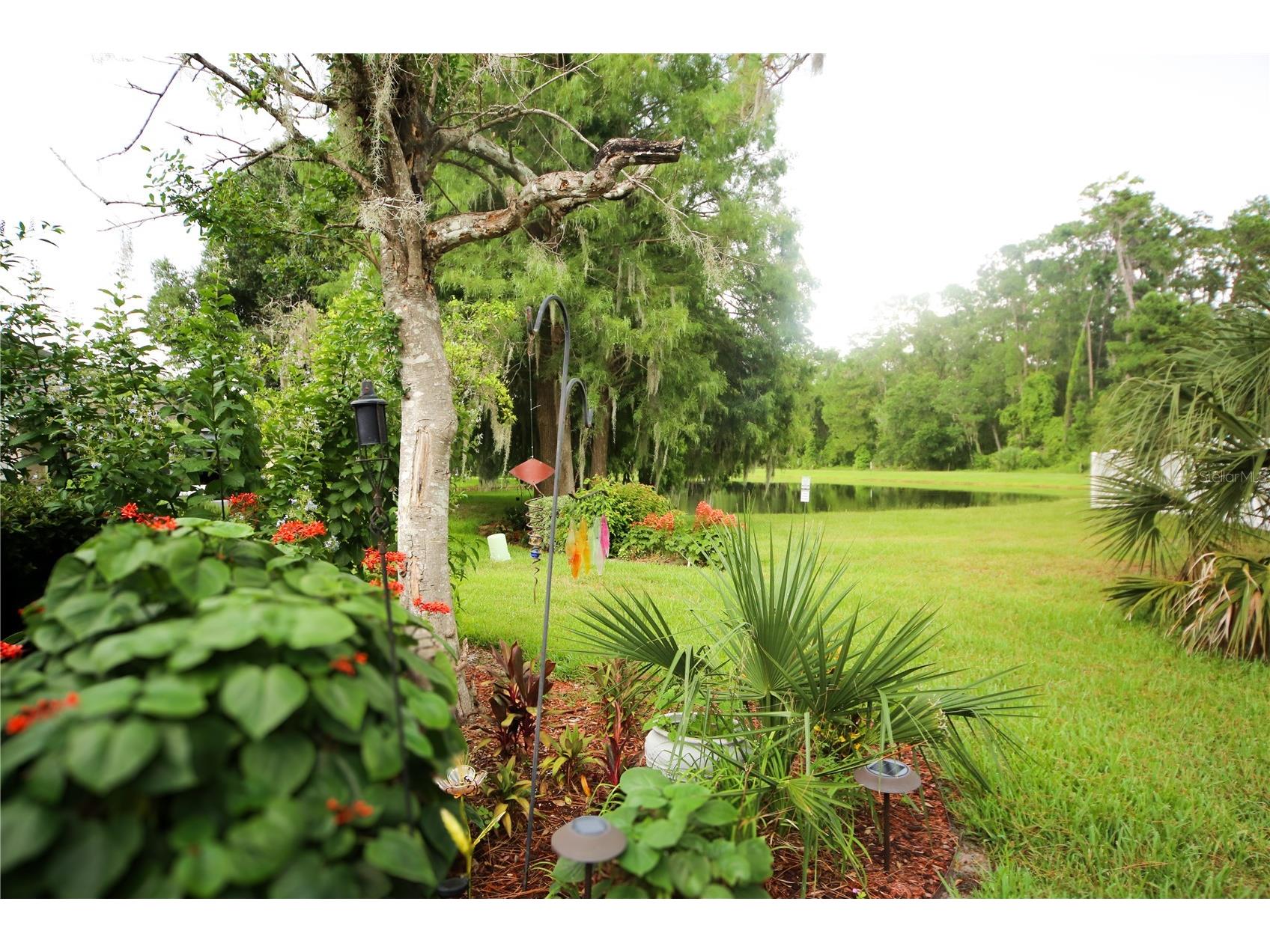 136 Baytree Boulevard Tavares FL 32778 G5114200 image16