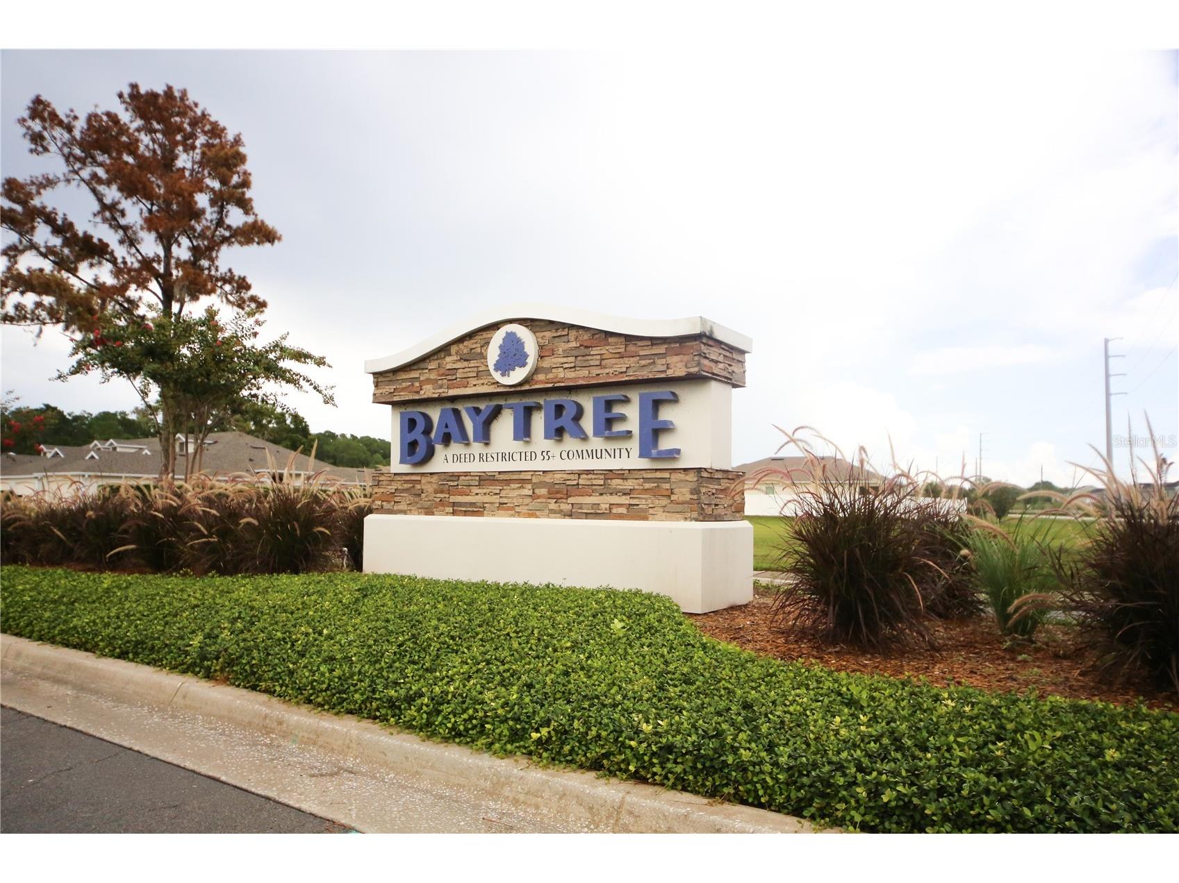 136 Baytree Boulevard Tavares FL 32778 G5114200 image2