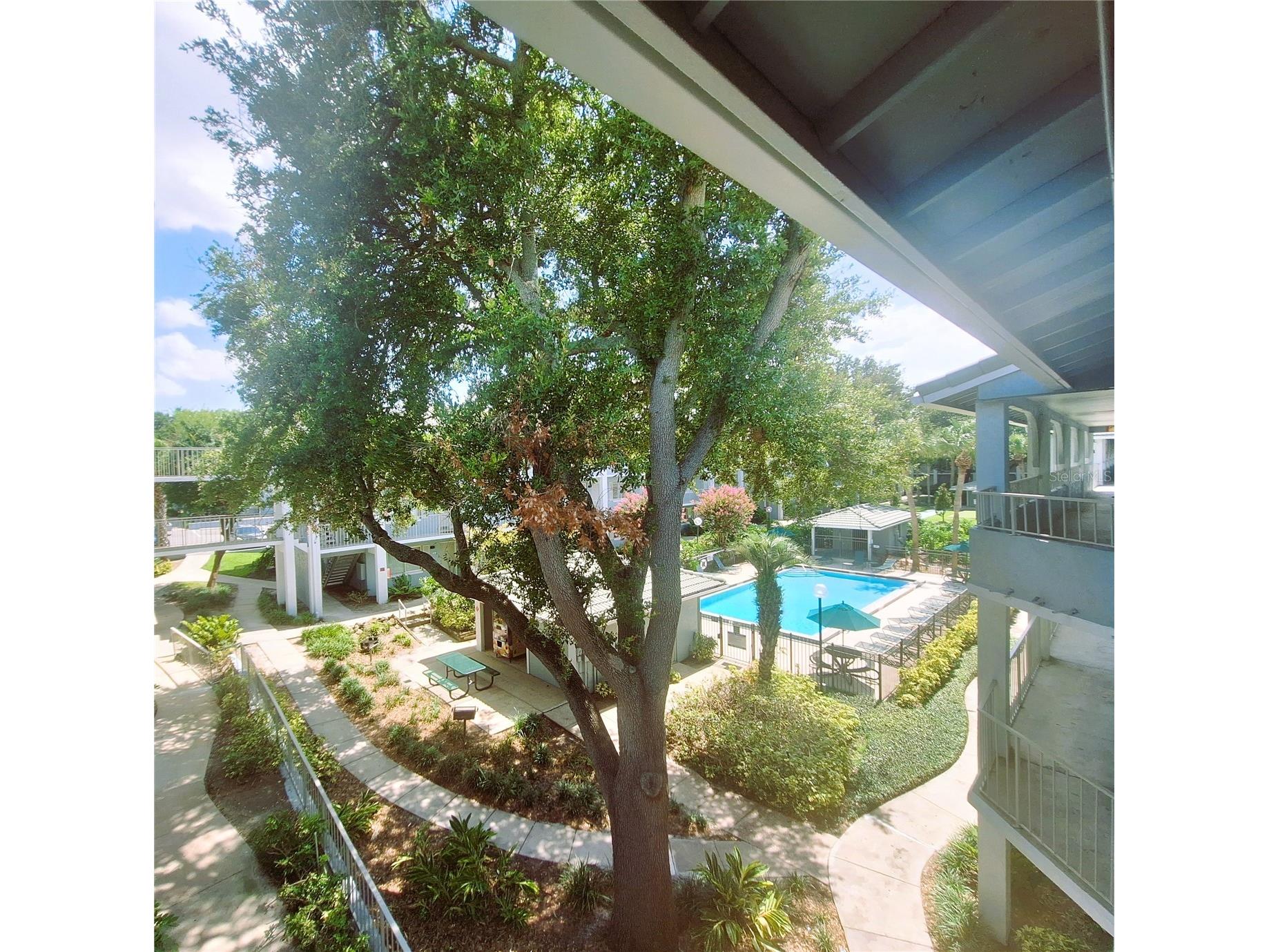 136 Blue Pointe Way #350 Altamonte Springs FL 32701 V4950196 image51