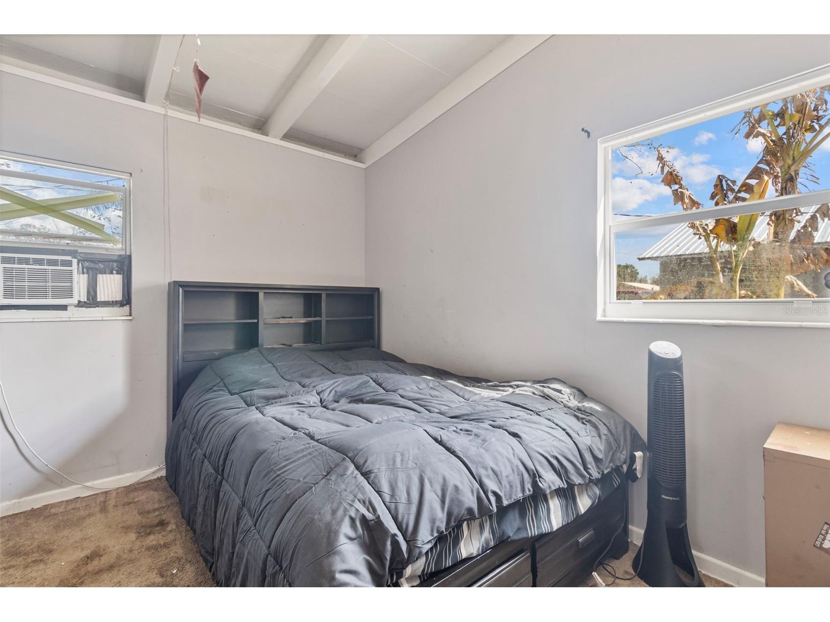 136 Bridle Path Arcadia FL 34266 TB8468828 image17